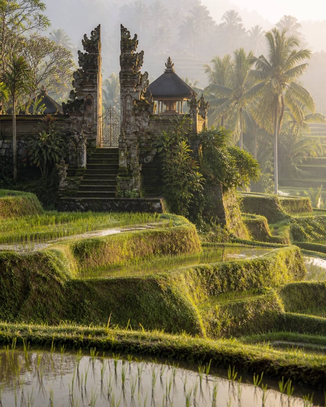 Pura dan sawah Bali, inspirasi produk botanikal L'Âme de Bali